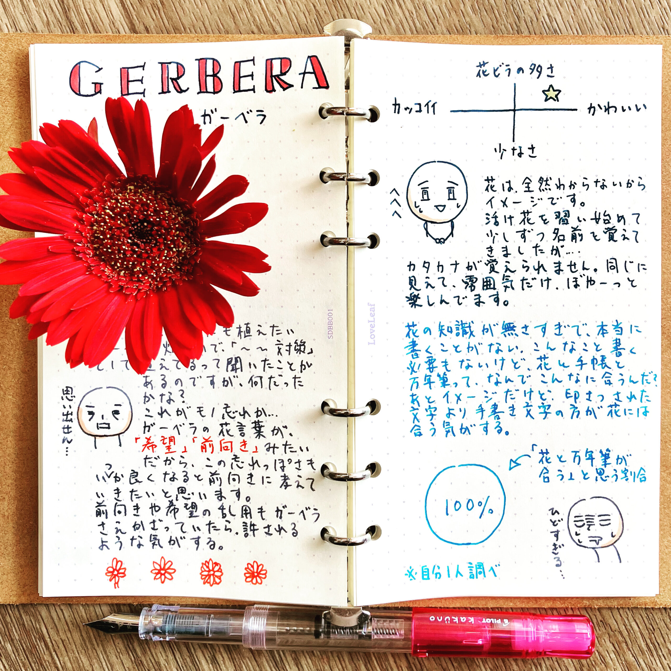 万年筆と手帳で紹介する雑記 眼鏡 補聴器のハッピーワン